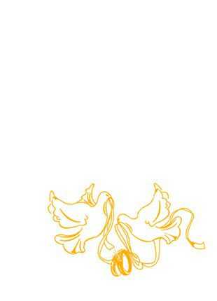 nr 17 (6,4 x 10,5 cm)