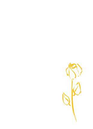 nr 213 (3,0 x 9,5 cm)