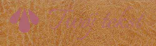 Okładzina introligatorska 10 - UV1