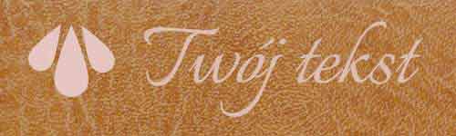 Okładzina introligatorska 10 - UV2