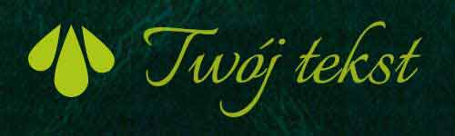 Okładzina introligatorska 11 - UV1