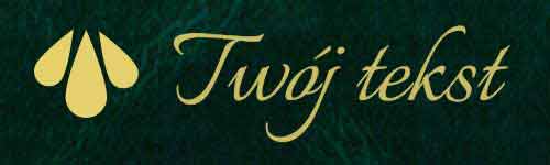 Okładzina introligatorska 11 - UV2