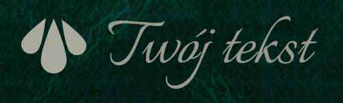 Okładzina introligatorska 11 - UV3