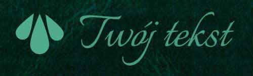 Okładzina introligatorska 11 - UV4