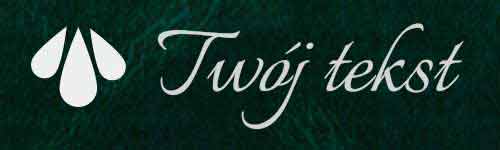 Okładzina introligatorska 11 - UV5