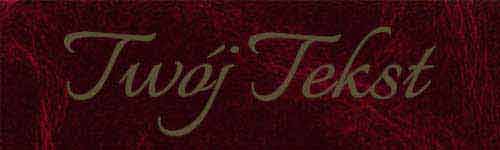 Płótna Introligatorskie 13 G