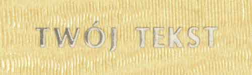 Srebrzenie - czcionka Prosta