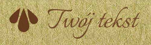 Okładzina introligatorska 23 - UV2