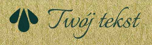 Okładzina introligatorska 23 - UV3