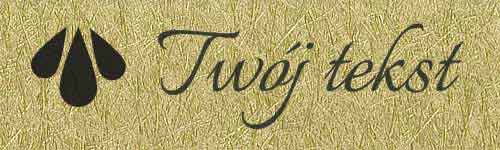 Okładzina introligatorska 24 - UV4