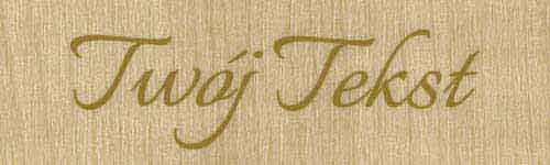 Płótna Introligatorskie 31 G