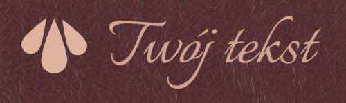 Okładzina introligatorska 40- UV4