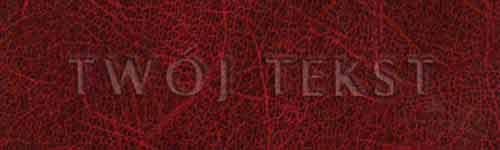 Tłoczenie - czcionka Prosta