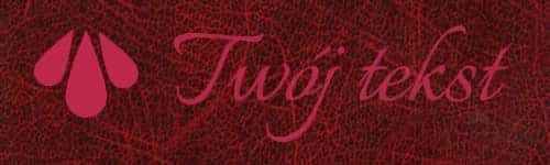 Okładzina introligatorska 41 - UV2