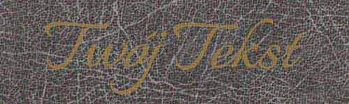 Płótna Introligatorskie 42 G