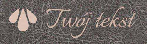 Okładzina introligatorska 42- UV1