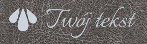 Okładzina introligatorska 42- UV4