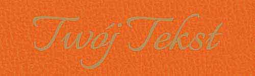 Płótna Introligatorskie 46 G