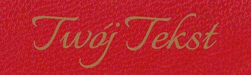 Płótna Introligatorskie 48 G