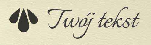 EKO SKÓRA D01 - UV06