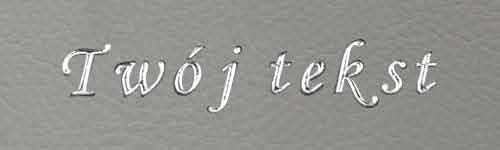 Srebrzenie - czcionka Mono Cursive