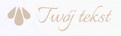 EKO SKÓRA G6b - UV04