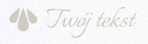 EKO SKÓRA G6b - UV07