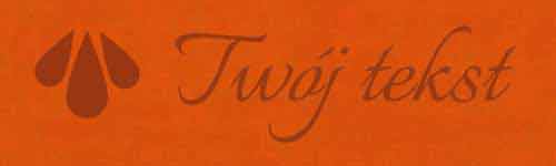 EKO SKÓRA G22 - UV01