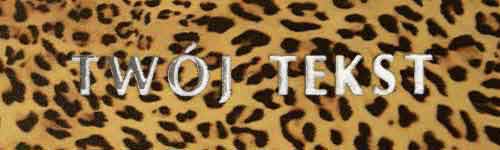 Srebrzenie - czcionka Prosta