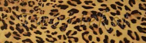 Tłoczenie - czcionka Mono Cursive