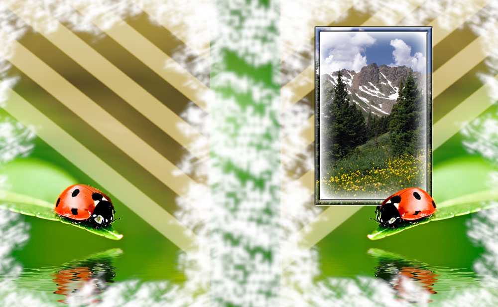 Okładka wakacyjna 310