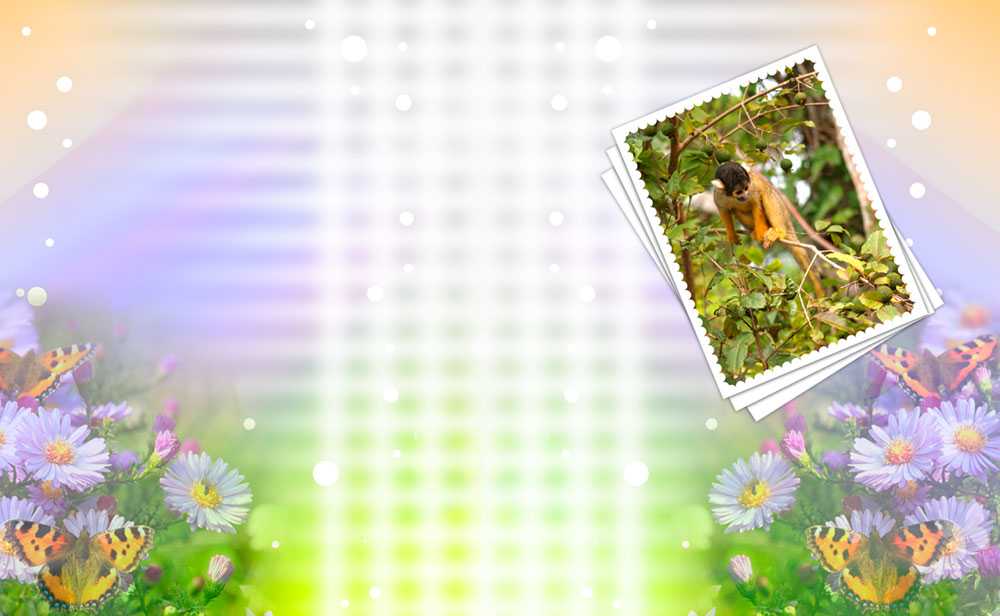 Okładka wakacyjna 311