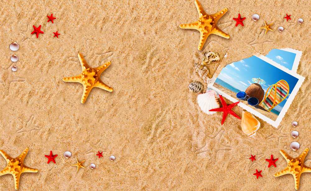 Okładka wakacyjna 313