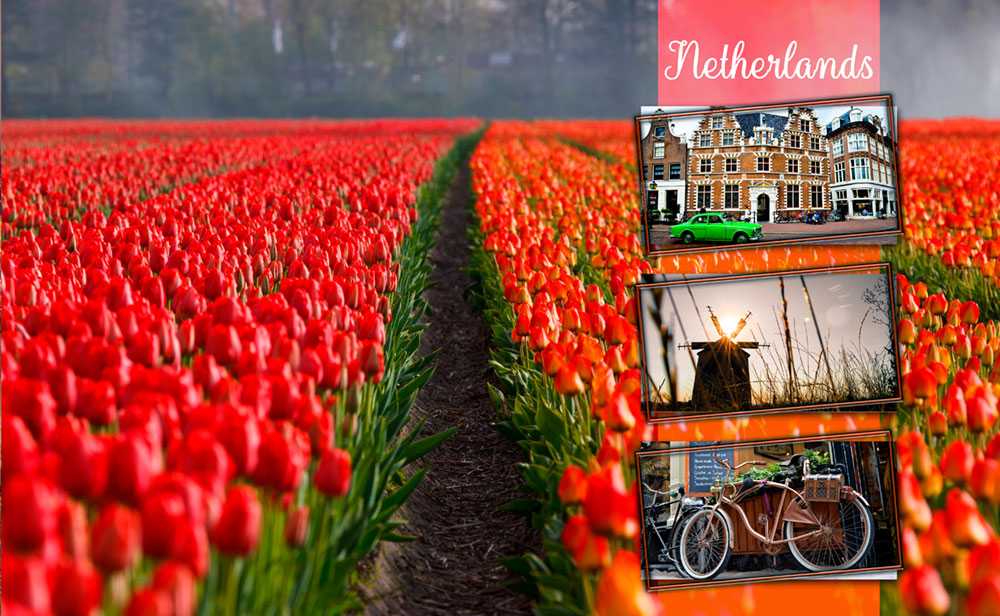 Okładka wakacyjna 362