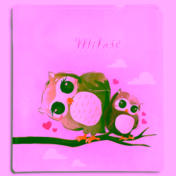 album na zdjęcia wklejane tradycyjne - walentynki - okładka drukowana