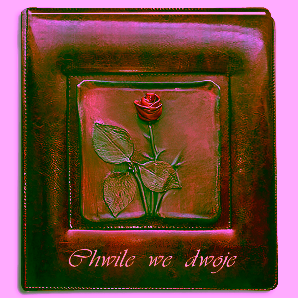 Fotoalbum - Walentynki - Linia Harmonia