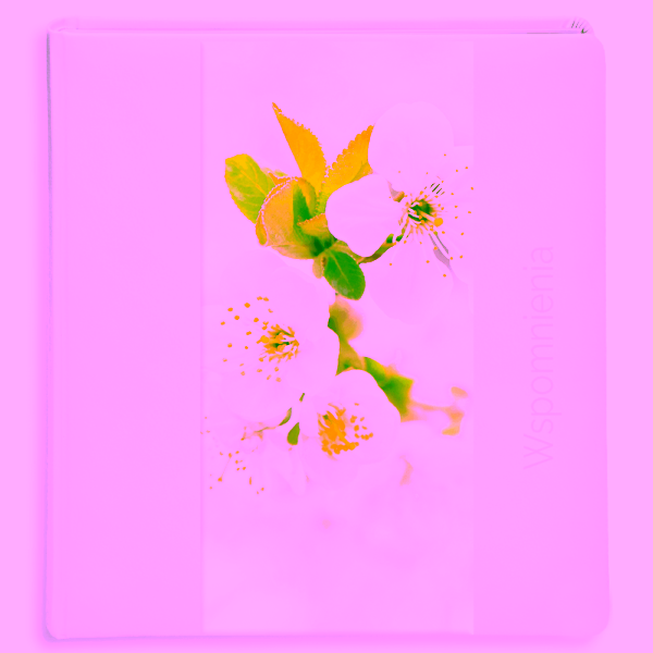 fotoalbum premium - uniwersalny - linia akrylfoto