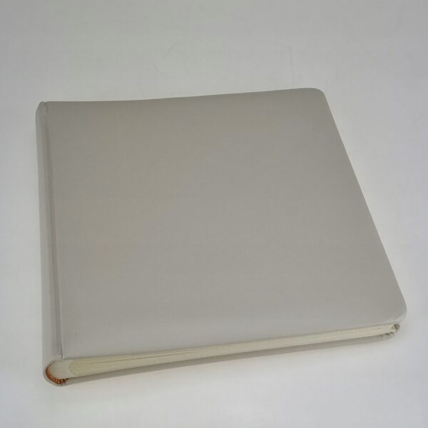 album na zdjęcia wklejane 25x25/60+p#319