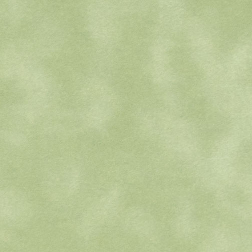 W13 - oliwkowa zieleń