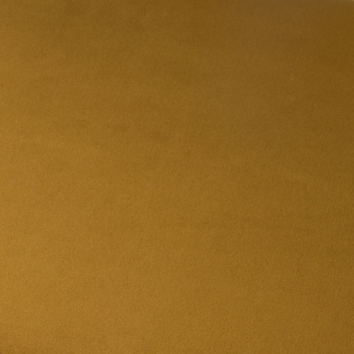 A2 - miodowo-musztardowy