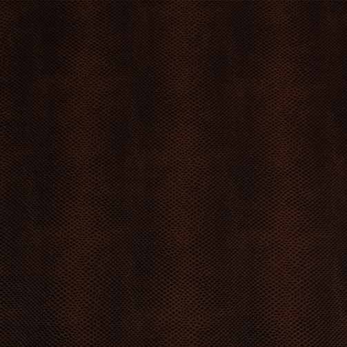 G10 - brązowa skóra węża