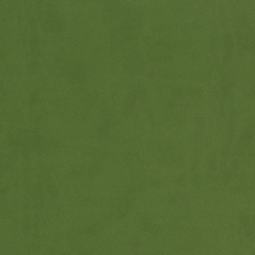 G20 - oliwkowa zieleń