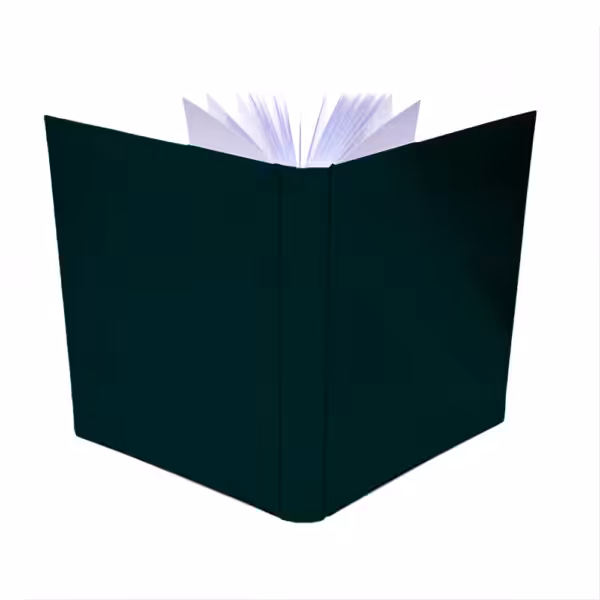 album na zdjęcia wsuwane | aksamit | butelkowa zieleń, zielony