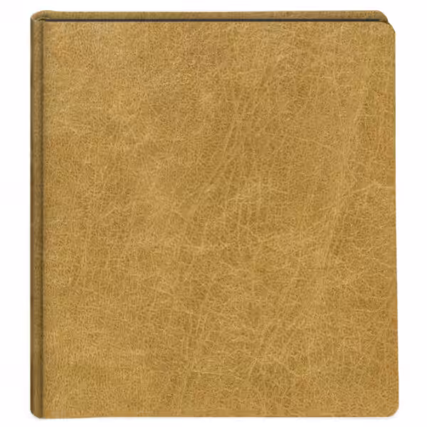 album do wklejania zdjęć, klasyczny | okładzina | złota okładzina vintage