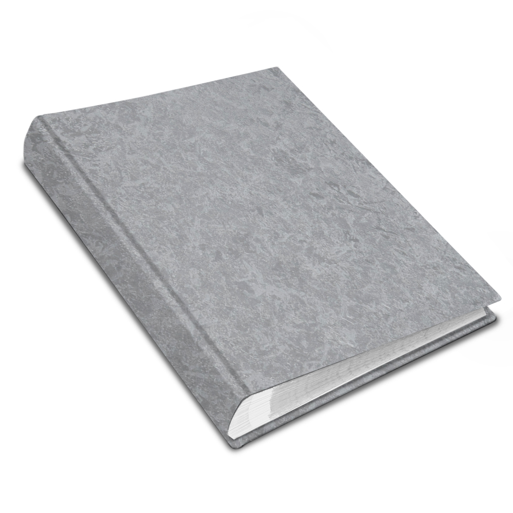 album na zdjęcia wsuwane | okładzina | srebrna metaliczna