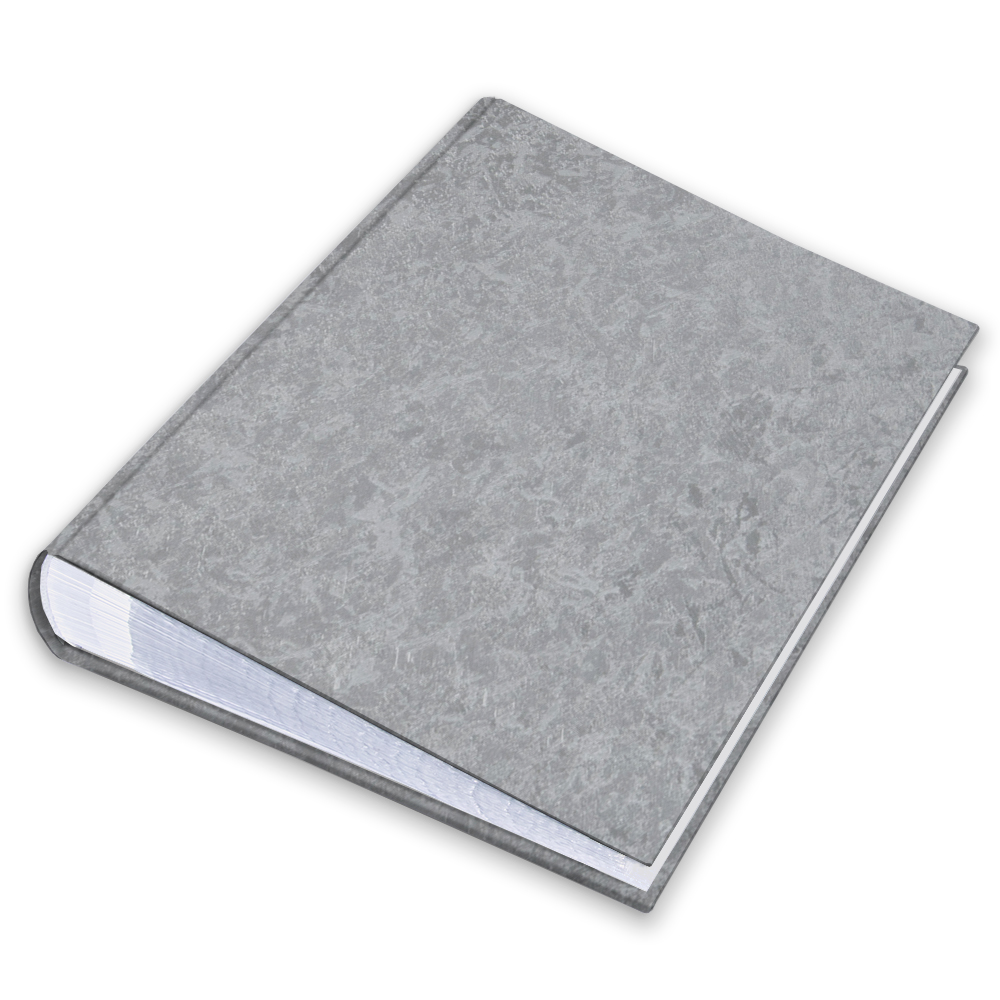 album na zdjęcia wsuwane | okładzina | srebrna metaliczna