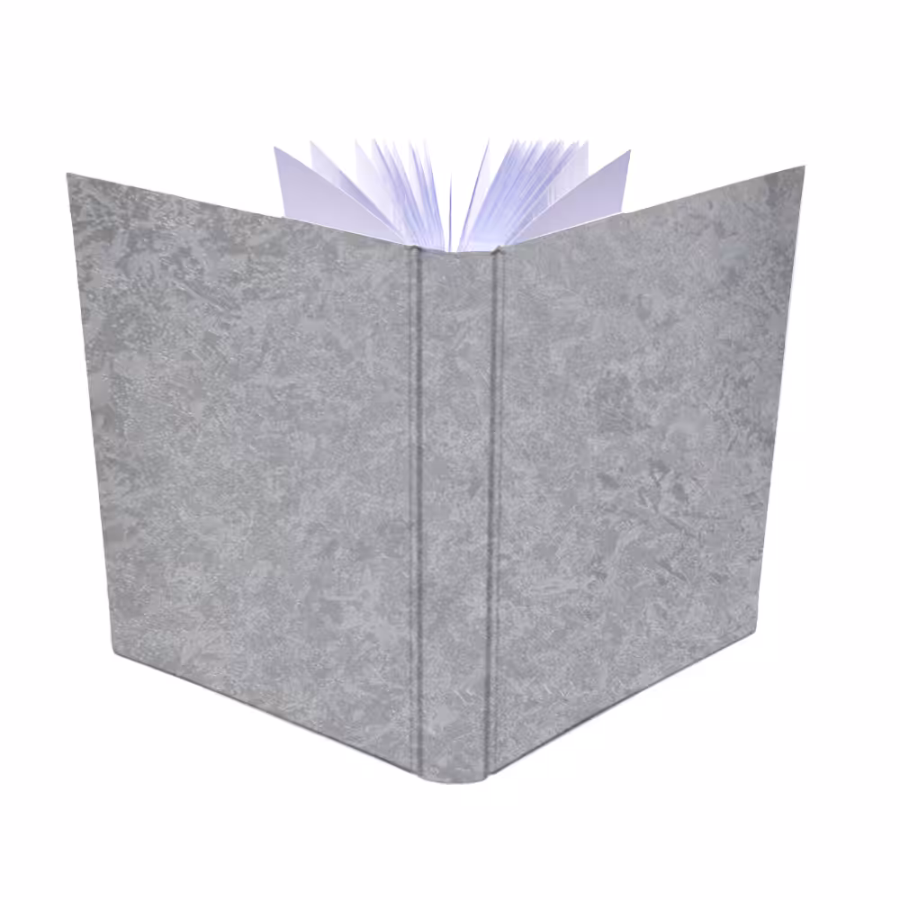 album na zdjęcia wsuwane | okładzina | srebrna metaliczna