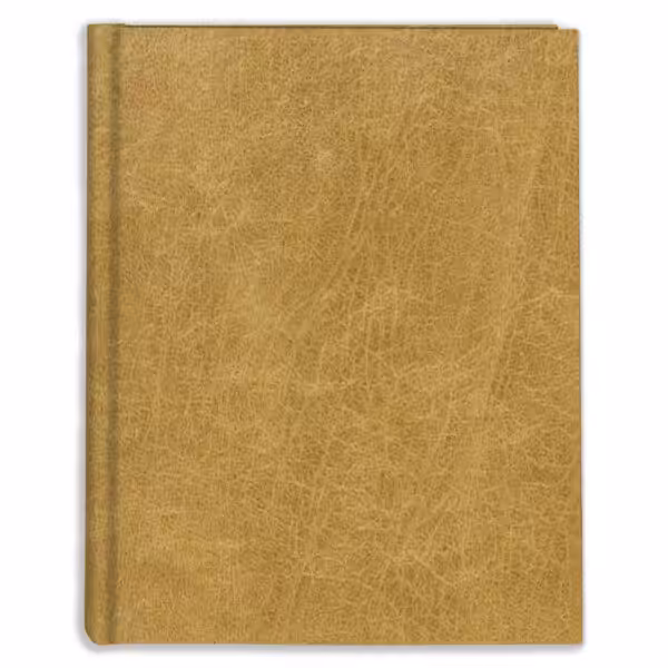 album na zdjęcia wsuwane | okładzina | złota, miodowa
