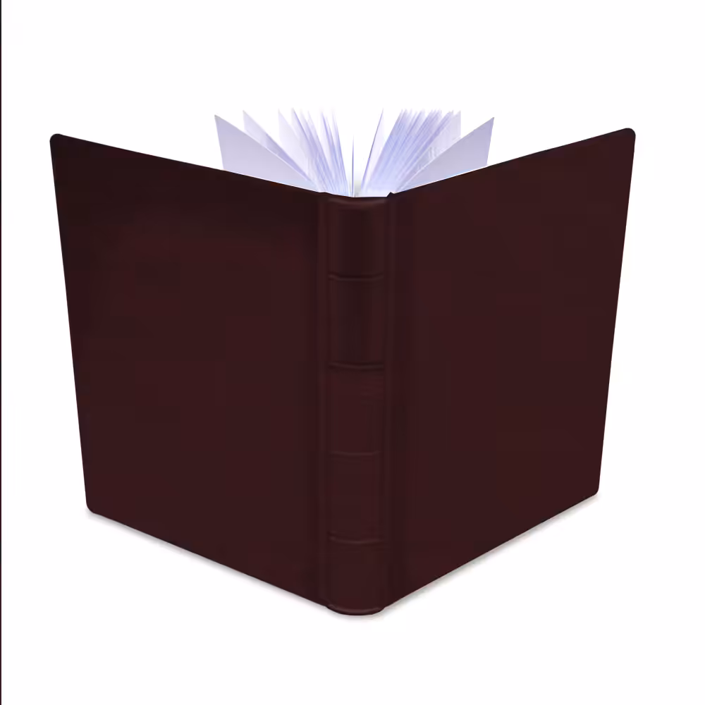 album na zdjęcia wsuwane | skóra galanteryjna | brunatny