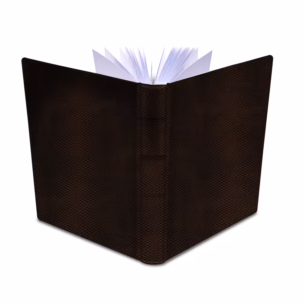 album na zdjęcia wsuwane | skóra galanteryjna | brązowa skóra węża